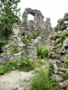 Невицкий замок